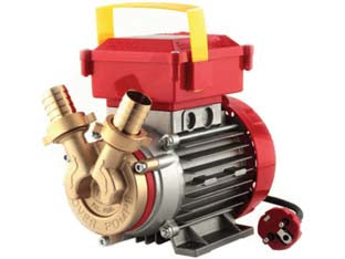 Elettropompa in bronzo bisenso da travaso rover 25 ce - Hp 0,8, tensione 230v /50Hz, giri motore 2.850 g/m., capacità max 42 lt./min., prevalenza max mt.15 in pressione, portagomma ...